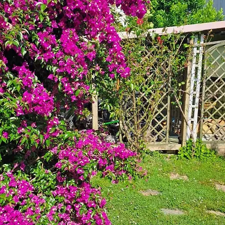 Сasa de vacaciones La Camelia